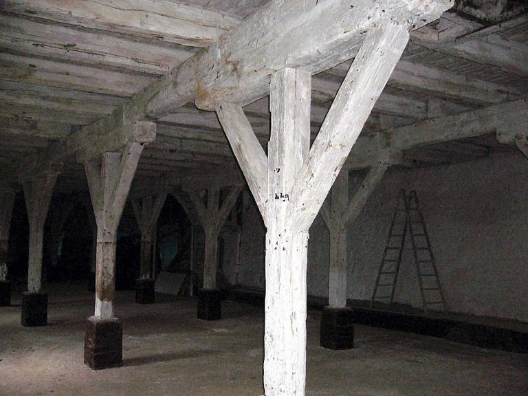 Der ehemalige Kuhstall vor der Renovierung